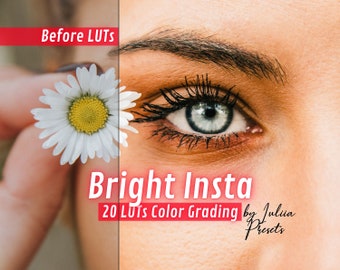 20 LUTs After Effect BRIGHT INSTA, Reels Video LUTs for Instagram, Premiere Pro LUT and Photoshop Affinity Photo Presets, Final Cut Pro LUTs
