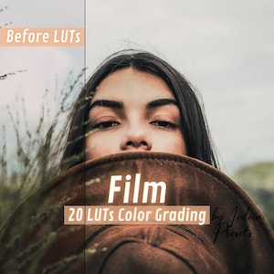 Pack de 20 LUT cinématographiques pour le montage vidéo, table de consultation rétro et en sourdine, préréglages d'étalonnage des couleurs vintage pour Premiere, DaVinci, Final Cut Pro