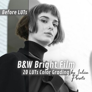 20 Cinematic B&W LUTs Pack - Look Up Table for Davinci Resolve, Premiere Pro, Final Cut, Video Color Grading Presets, Adobe Film LUT Editors