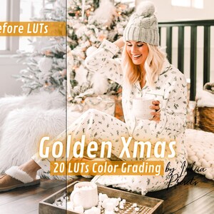 20 Golden Xmas Presets - Premiere Pro & Photoshop - Video LUTs for Editing, Premium LUTs, Affinity Film, Capcut and Final Cut Pro LUTs