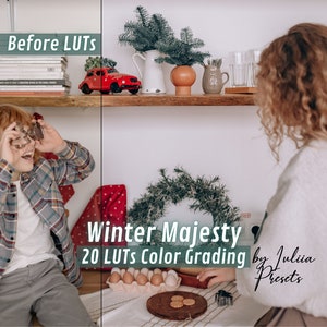 20 Winter Majesty Video LUTs, Christmas Editing Filters for Holiday Cinematic Color Grading in Premiere Pro, Davinci Resolve & After Effects