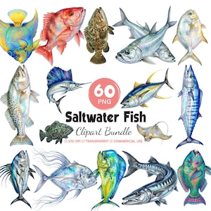 May include: A digital collection of saltwater fish illustrations featuring various species like tuna, marlin, and barracuda. The text reads 60 PNG Saltwater Fish Clipart Bundle 300 DPI TRANSPARENT COMMERCIAL USE. The fish are rendered in vibrant colours.