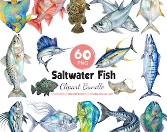 Saltwater Fish Watercolor Clipart Bundle, Ocean Fish PNG, Tuna, Mahi, Trout  Illustration (Digital Download)