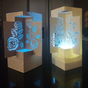 May include: Two paper lanterns with a rose design. The lantern on the left is gold glitter and the lantern on the right is white. Both lanterns have a light inside.