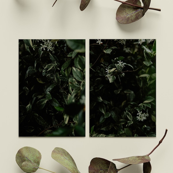 Botanical print download, digital download set, leaves print set, greenery prints set of 2, nature wall art set, green photo, charity sale