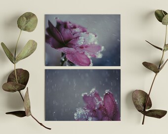 photography prints, wall art, digital download photography, 4x6 print art set of 2, photo gifts for her, gifts for grandma, rose print, art