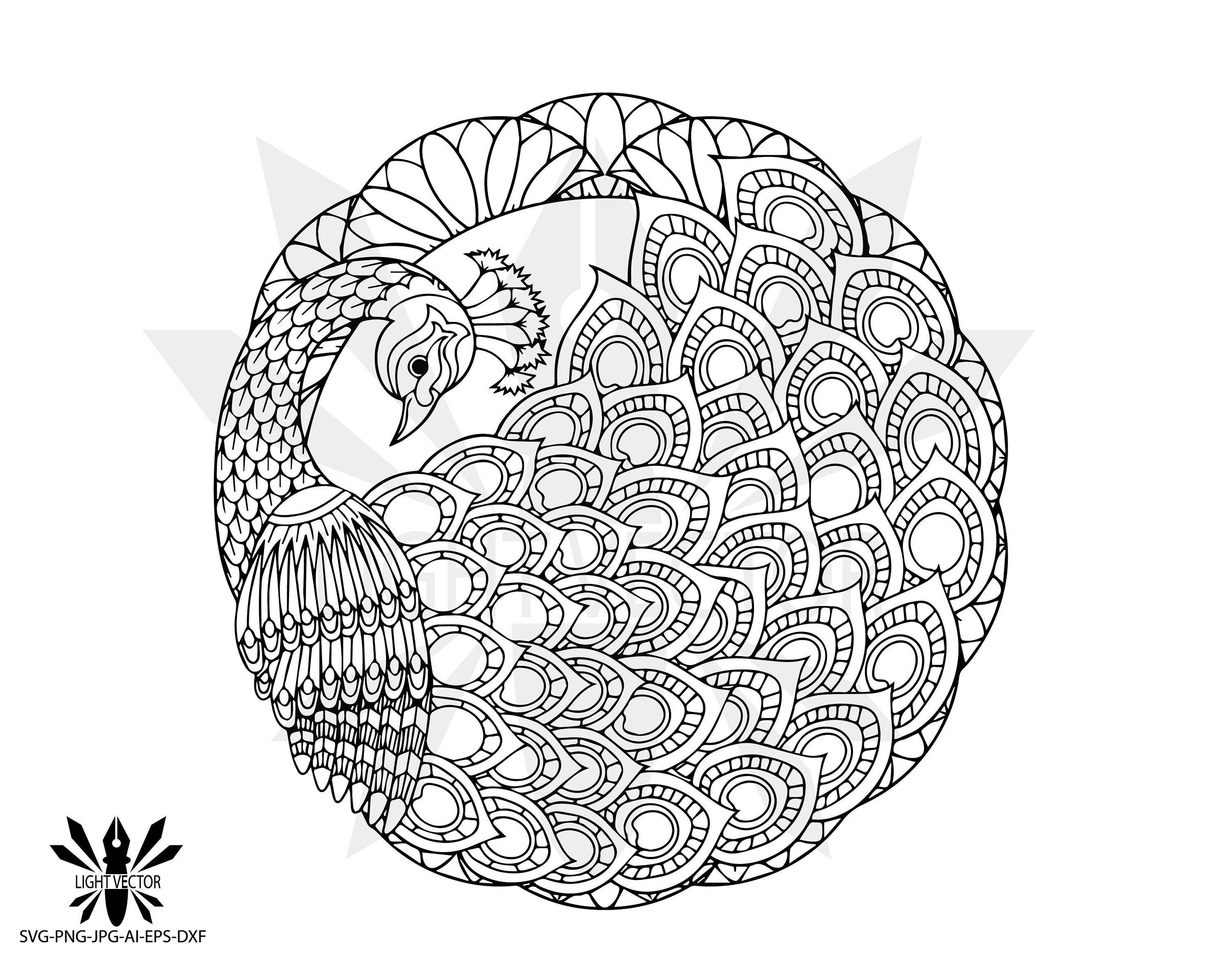 Download Peacock Mandala Zentangle Silhouette Instant Download Svg Png Eps Dxf Ai Jpg