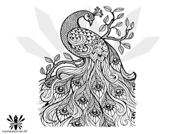 Download Peacock Mandala Zentangle Silhouette Instant Download Etsy