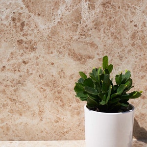 Cappuccino gepolijst bruin marmeren wand- en vloertegels monster