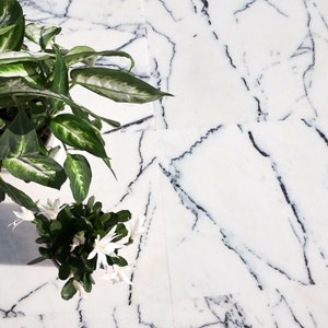 CALACATTA VIOLA Polished White Marble Wall & Floor Tiles - per SQM