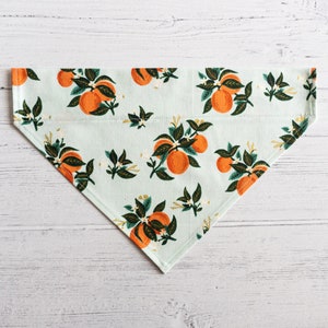 Citrus Blossom Orange Slip-Over Collar Dog Bandana // Dog Accessory// Dog neckwear// Rifle Paper Co Fabric // Summer Print