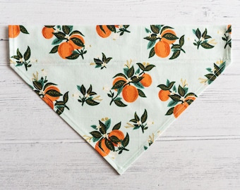 Citrus Blossom Orange Slip-Over Collar Dog Bandana // Dog Accessory// Dog neckwear// Rifle Paper Co Fabric // Summer Print