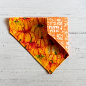 Op de afbeelding: Oranje stoffen hondenbandana met een pompoenprint en de tekst "Appelcider, Pompoenen plukken, Maisdoolhof, Dankbaar" in wit.