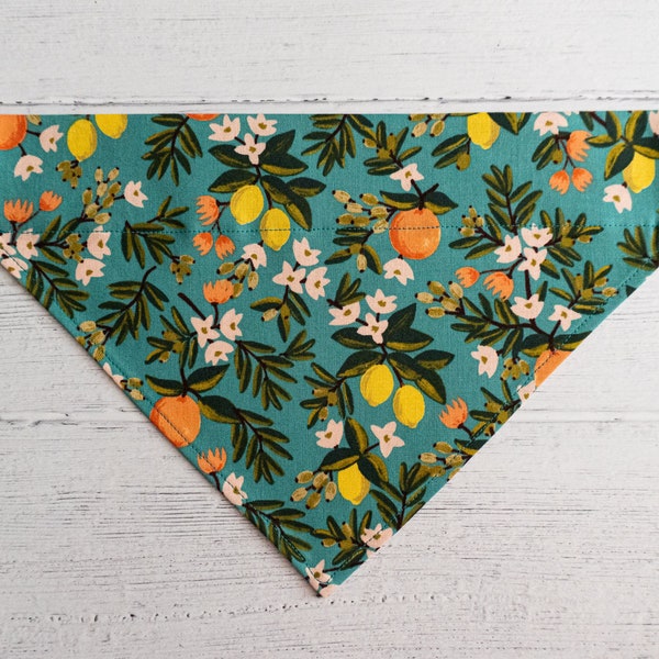 Citrus Floral (Teal) Slip-Over Collar Dog Bandana // Dog Accessory// Dog neckwear// Rifle Paper Co Fabric // Summer Print // Citrus Floral