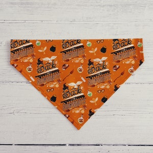 May include: Orange bandana with a repeating pattern of "Back to Hogwarts" text, owls, glasses, and other Harry Potter themed illustrations.