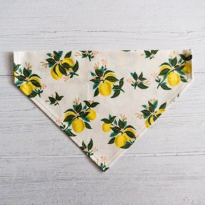 Citrus Blossom Lemon Slip-Over Collar Dog Bandana // Dog Accessory// Dog neckwear// Rifle Paper Co Fabric // Summer Print