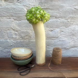 May include: A tall, cylindrical, cream-colored ceramic vase holding a cluster of green flowers, accompanied by a stack of three small, round ceramic bowls in cream, brown, and green, a pair of black metal scissors, and a spool of brown twine.