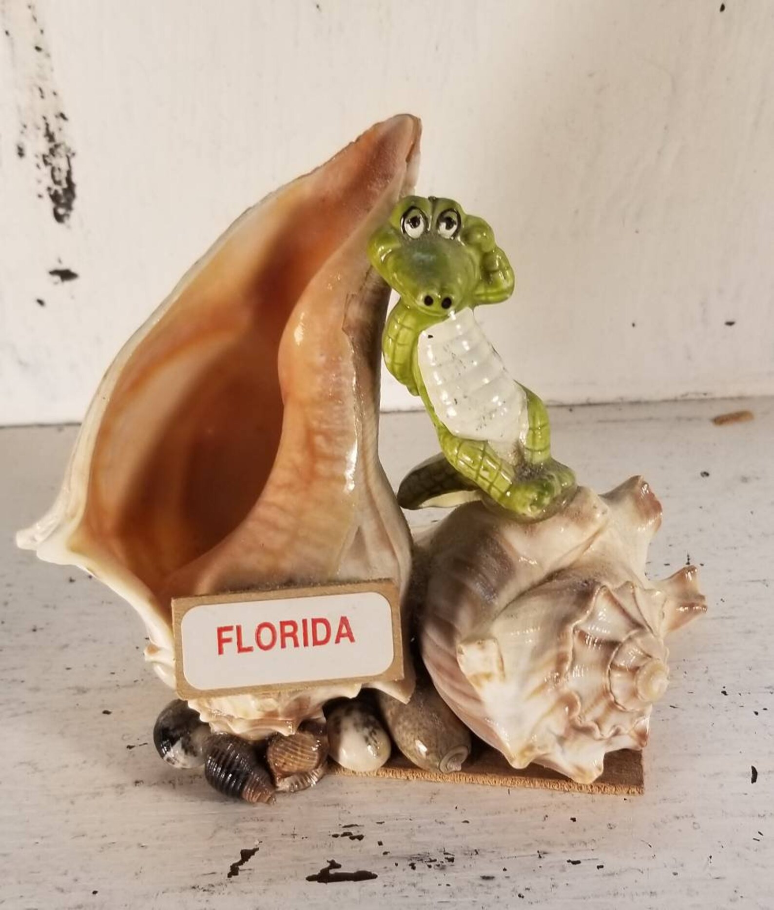 Vintage Florida Souvenir Display Etsy
