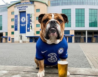 Retrato personalizado de seu animal de estimação no estádio, vestindo camisa de futebol e tomando uma bebida. Impressão artística personalizada de cachorro ou gato. Presente perfeito para fãs de futebol e amantes de animais de estimação. Aniversário.