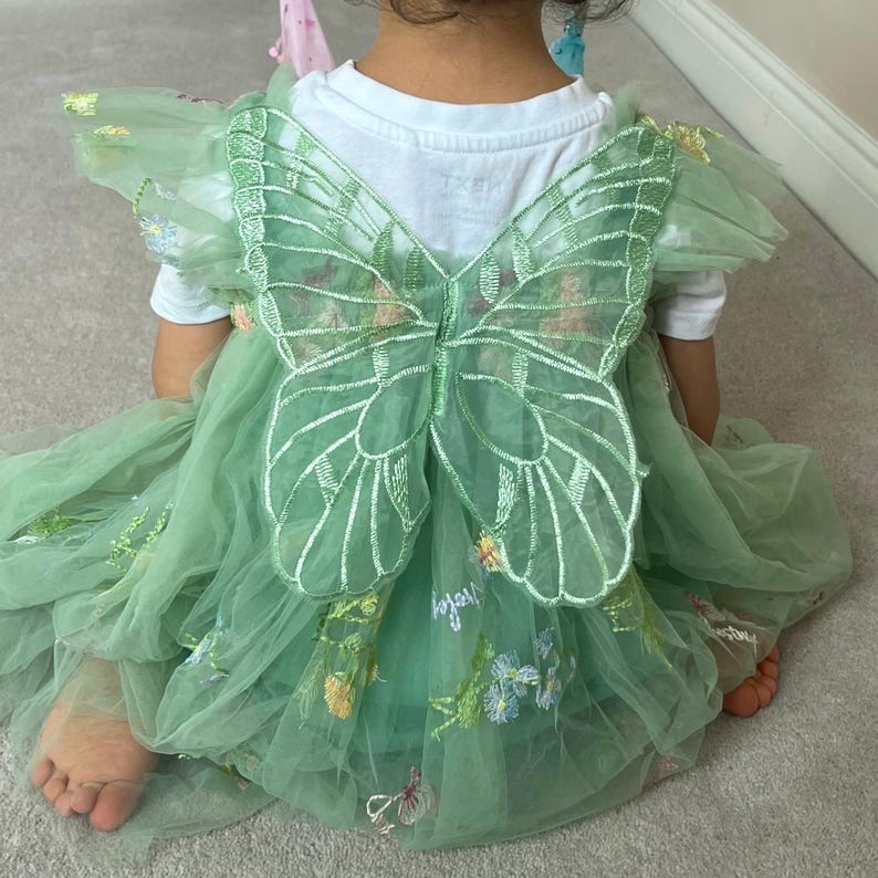fairy dress