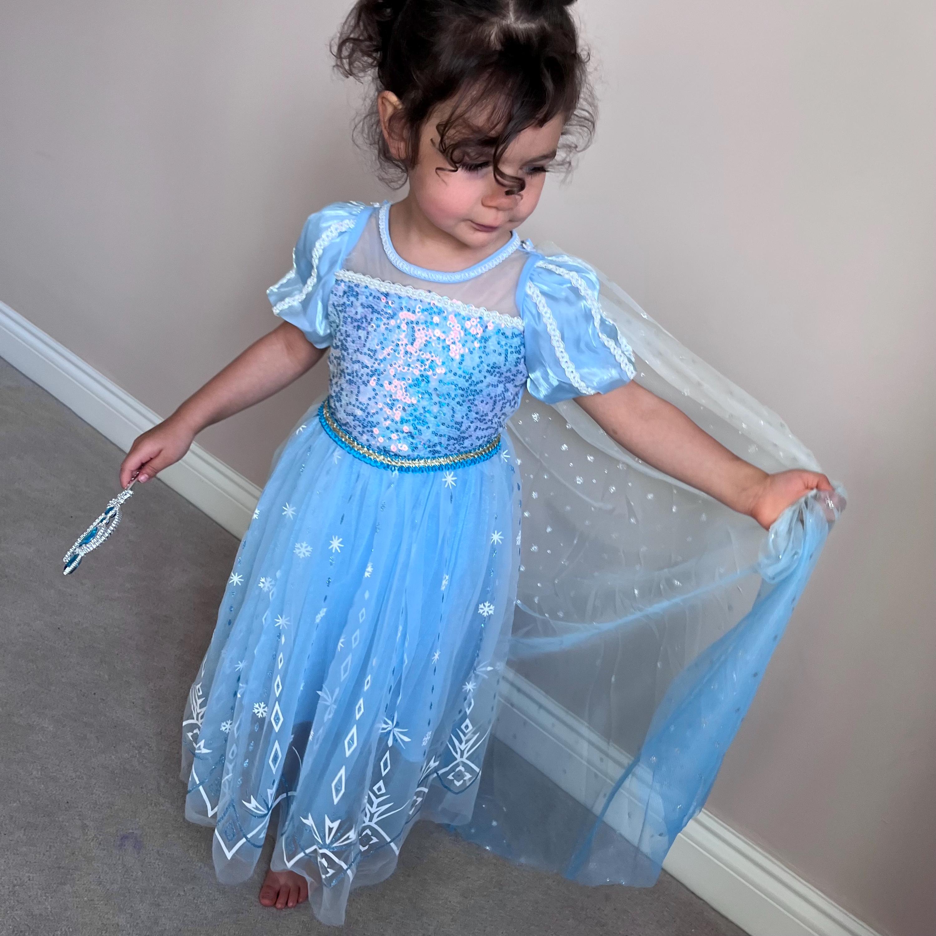Elsa Birthday Dress