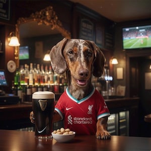May include: A dachshund wearing a red soccer jersey, holding a pint of dark beer with a white head. A small bowl of peanuts sits on the bar. The dog is in a pub setting with a television in the background.