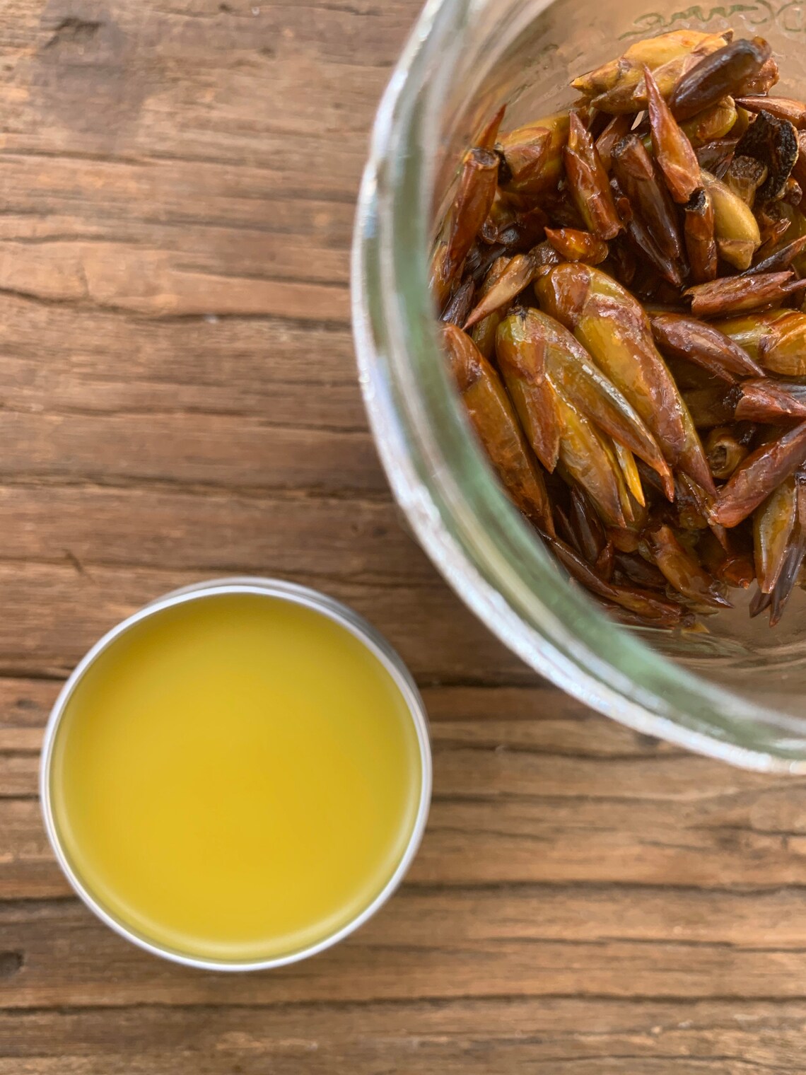 Cottonwood buds solar and moon supercharged salve 1 oz Etsy