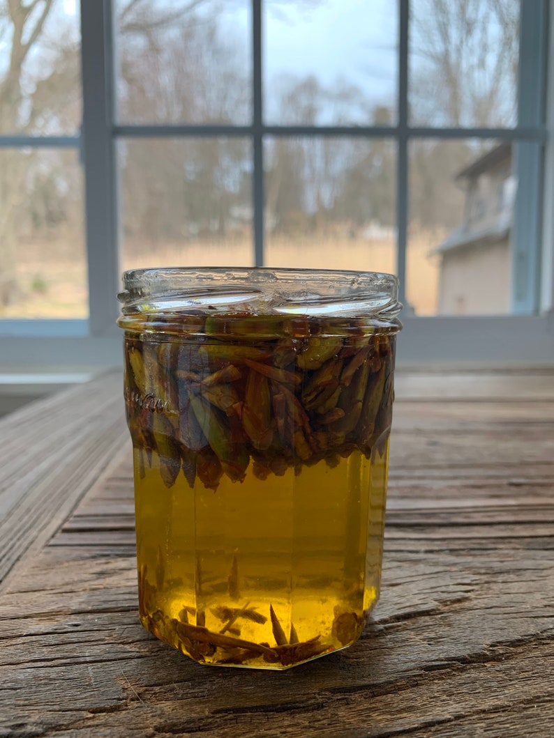 Cottonwood buds solar and moon supercharged salve 1 oz Etsy