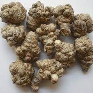 May include: A collection of dried, brown, knobby roots. The roots are irregularly shaped and have a rough, textured surface.