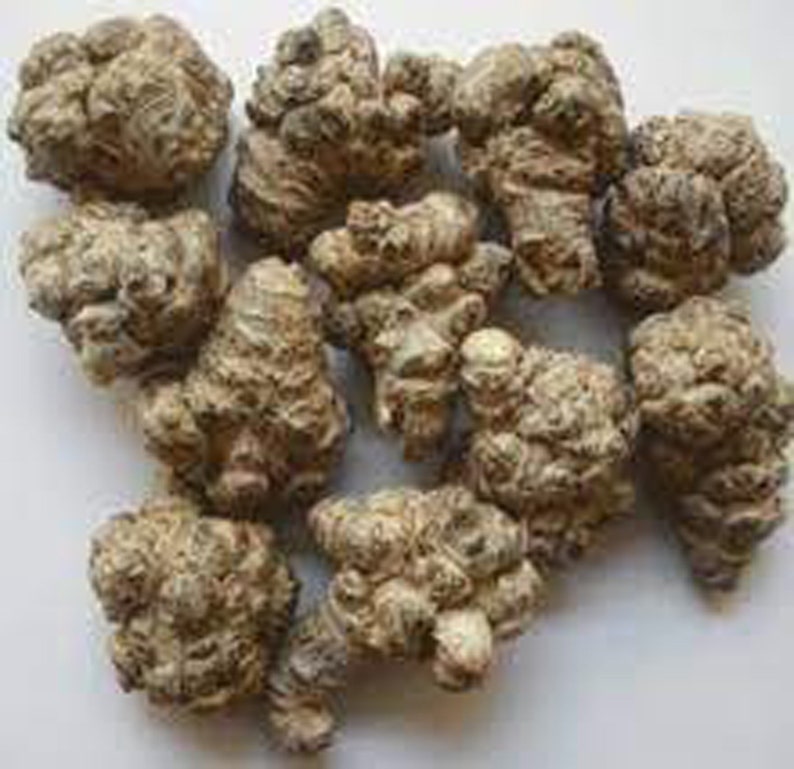 May include: A collection of dried, brown, knobby roots. The roots are irregularly shaped and have a rough, textured surface.
