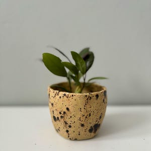 Keramik Blumentopf