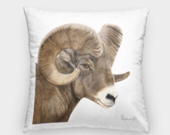 Big Outdoor Pillows Etsy