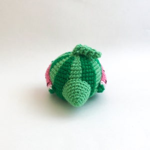 Melon the Watermelon Bird Crochet Pattern PDF, Amigurumi Fruit Food Bird Toy Pattern In English image 4