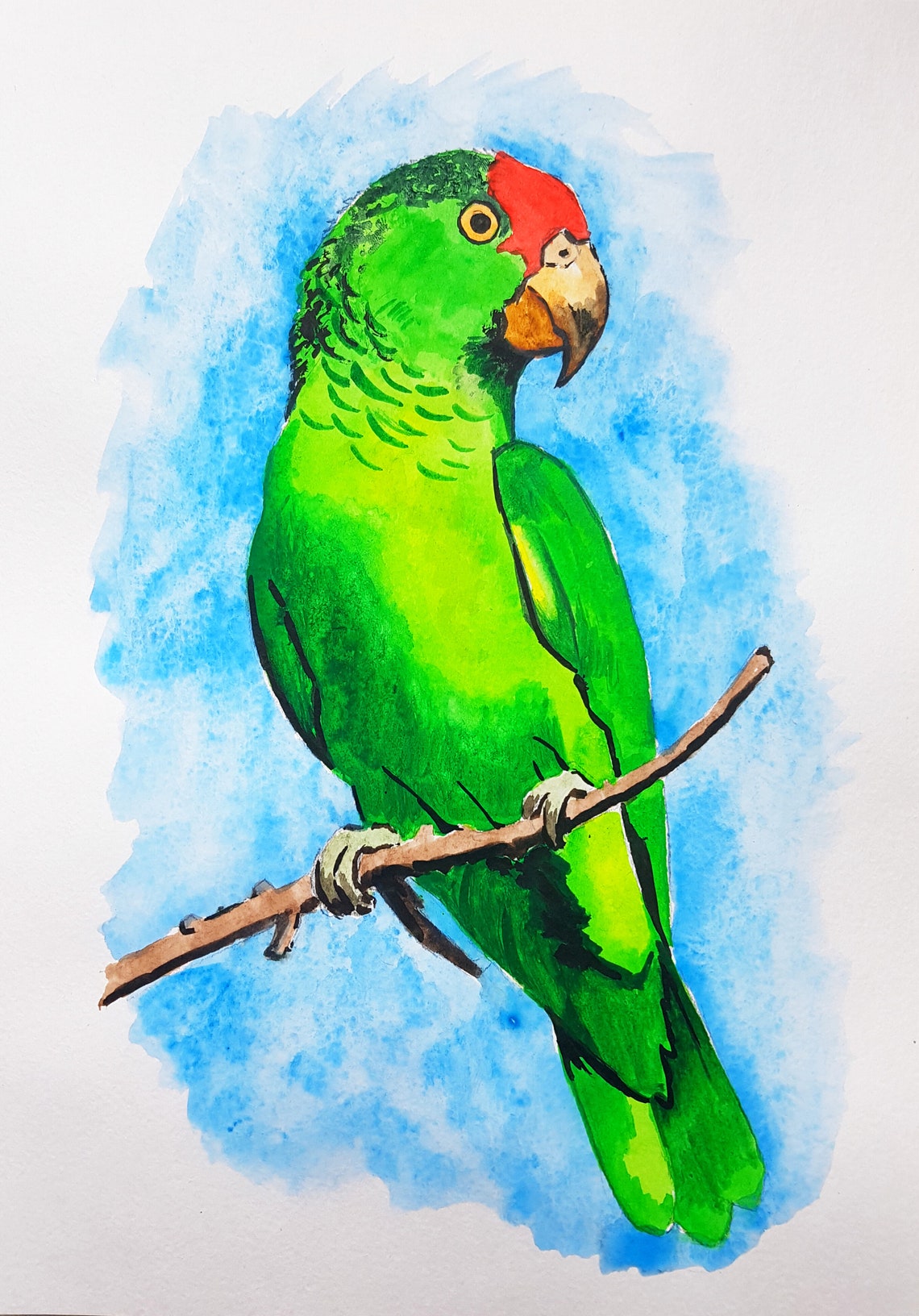 Green Parrot Painting Bird Wall Art Original Watercolor Etsy