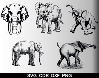 Download Cdr Dxf Elephant Head Svg Elephant Mandala Svg Ai Alabama Elephant Svg Elephant Svg File Pet Supplies Urns Memorials Domondtransportation Com