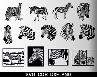 Zebra Bundle Svg, Zebra Clipart, Africa Svg, Zebra Cut Files for Cricut, Silhouette Files, Zebra Cdr, Zebra Dxf, Zebra Png