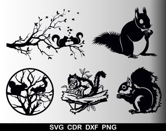 Squirrel SVG, Squirrel Silhouette, Squirrel Vector, Squirrel Clipart, Files for Cricut, Squirrel Vector, Svg, Dxf, Png, Cdr