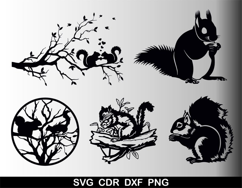Eichhörnchen SVG, Eichhörnchen Silhouette, Eichhörnchen Vektor