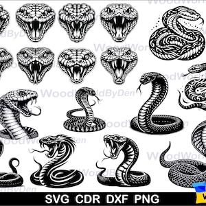 Snake Bundle Svg, Snake Head Svg, Snake Svg, Snake Cricut, Snake Png, Snake Dxf