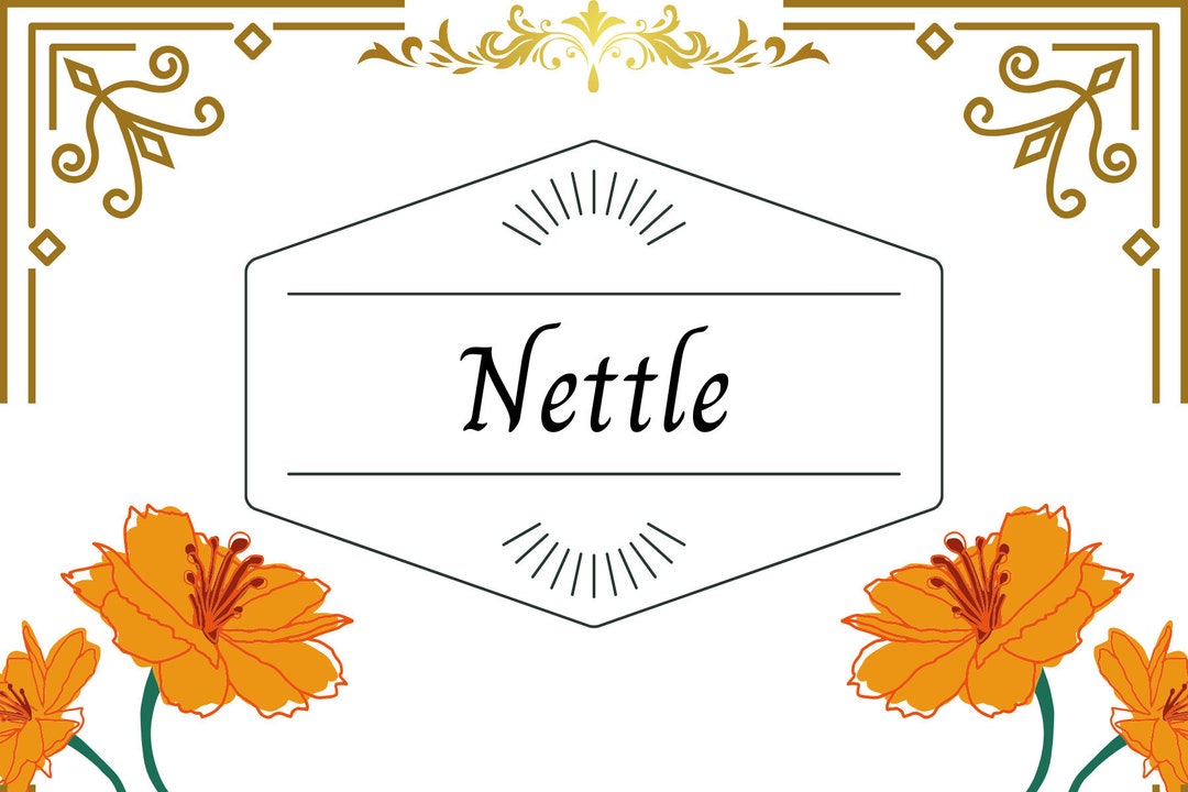 Printable Witch Herb Labels - Etsy