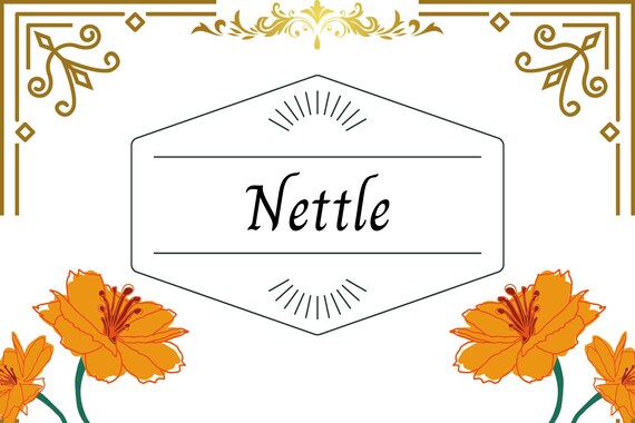 Printable Witch Herb Labels | Etsy