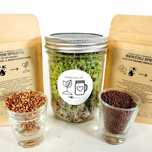 Microgreens Sprouting DIY Kit, Learn How to Grow Broccoli Sprouts & Radish Sprouts at Home