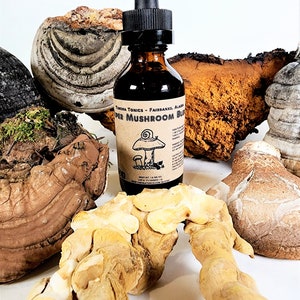 12 Alaskan Mushroom Blend, Super Tincture - Wild Mushroom Tonic. Double Extracted, 2oz.