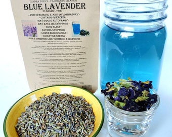 Blue Lavender Tea - Blue Butterfly Tea & Organic Dried Lavender