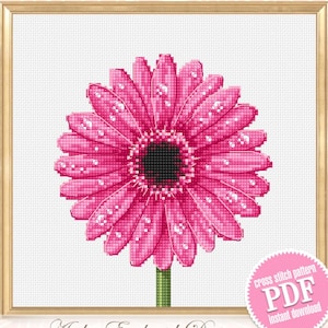 Op de afbeelding: Een roze gerbera met waterdruppels op de bloemblaadjes. De bloem bevindt zich in een wit frame met een gouden rand. De tekst "cross stitch pattern PDF instant download" bevindt zich in een cirkel onderaan de afbeelding.