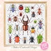 see more listings in the ANIMAL cross stitch PDF section