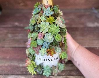 Succulent Champagne Bottle