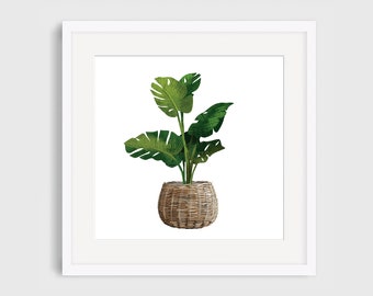 Potted House Plant Art Print, Illustrated Giclee Print