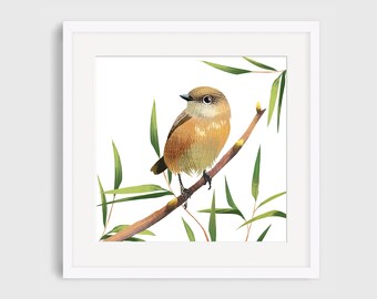 Vogel, Natur, Stonechat Illustration Giclée-Druck