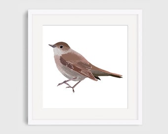 Oiseau, nature, impression giclee d’illustration de rossignol